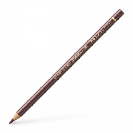 Polychromos Colour Pencil van dyck brown